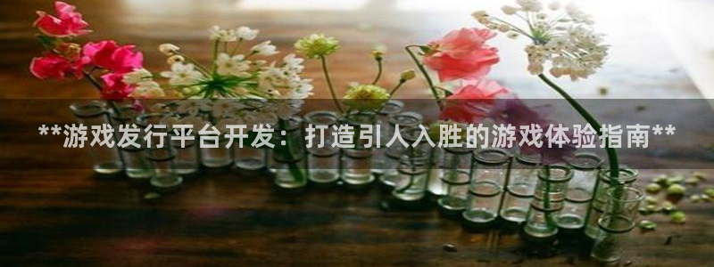 顺盈娱乐平台注册流程视频下载：**游戏发行平台开发：打造引人入胜的游戏体验指南**
