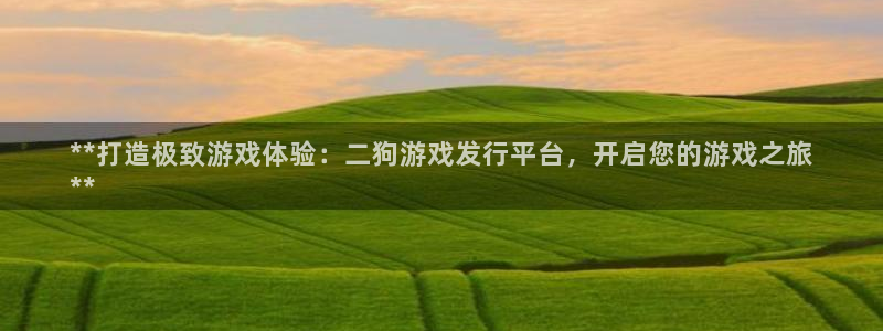 顺盈平台：**打造极致游戏体验：二狗游戏发行平台，开启您的游戏之旅
**
