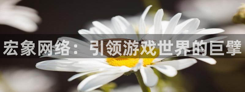 顺盈娱乐登录平台下载安装：宏象网络：引领游戏世界的巨擘
