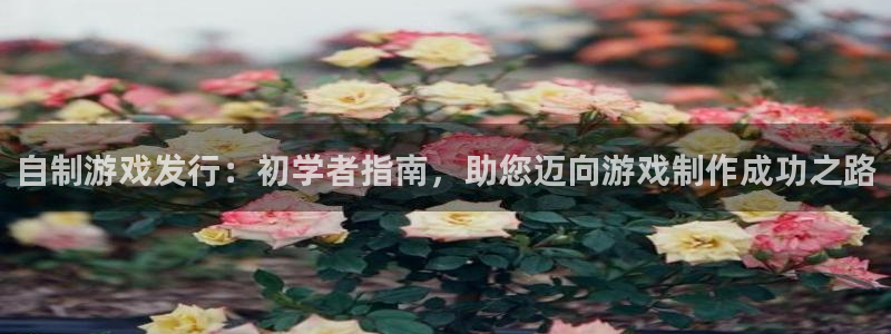 顺盈娱乐3.8.2.2.2.3安：自制游戏发行：初学者指南，助您迈向游戏制作成功之路