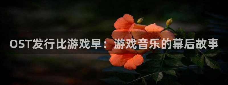 顺盈平台注册网址：OST发行比游戏早：游戏音乐的幕后故事