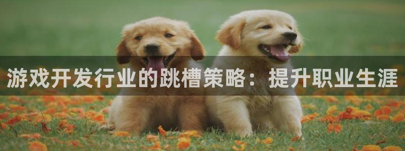 顺盈娱乐登录平台是什么平台：游戏开发行业的跳槽策略：提升职业生涯