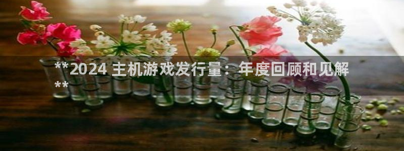 顺盈娱乐公司介绍