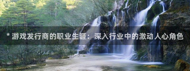 顺盈娱乐登录平台下载安装最新版：* 游戏发行商的职业生涯：深入行业中的激动人心角色