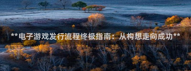 顺盈娱乐公司介绍图片高清：**电子游戏发行流程终极指南：从构想走向成功**