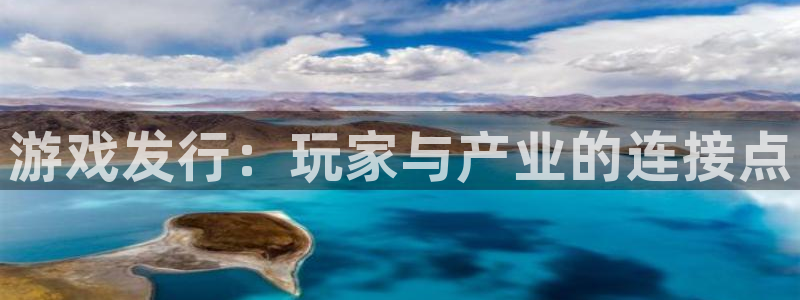 顺盈平台在线注册：游戏发行：玩家与产业的连接点