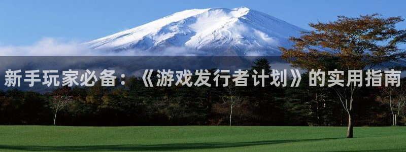 顺盈娱乐平台提现被关闭怎么回事呀：新手玩家必备：《游戏发行者计划》的实用指南