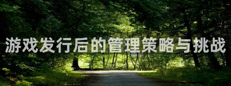 顺盈娱乐公司介绍图片：游戏发行后的管理策略与挑战