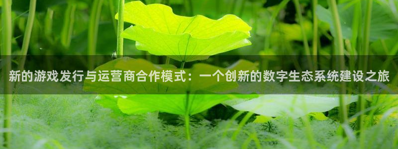 顺盈娱乐母7O777：新的游戏发行与运营商合作模式：一个创新的数字生态系统建设之旅