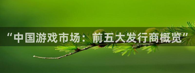 顺盈娱乐登录平台是什么软件：“中国游戏市场：前五大发行商概览”