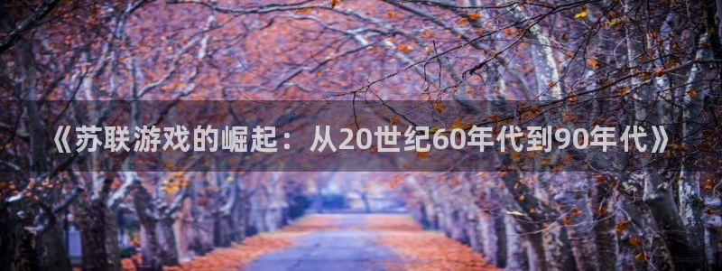 顺盈平台：《苏联游戏的崛起：从20世纪60年代到90年代》