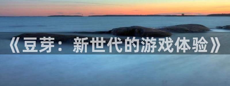 顺盈娱乐的员工待遇怎么样啊：《豆芽：新世代的游戏体验》