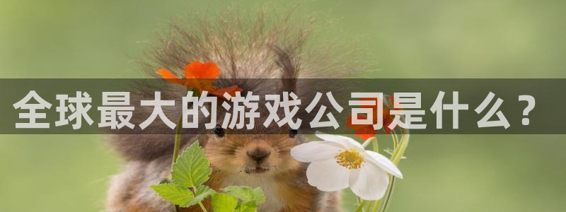 顺盈平台注册地址在哪里