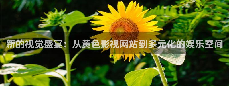 汤姆视频最新入口：新的视觉盛宴：从黄色影视网站到多元化的娱乐空间
