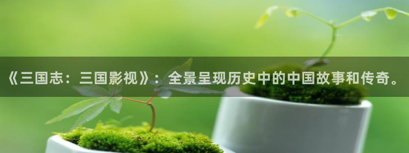 www汤姆影院：《三国志：三国影视》：全景呈现历史中的中国故事和传奇。