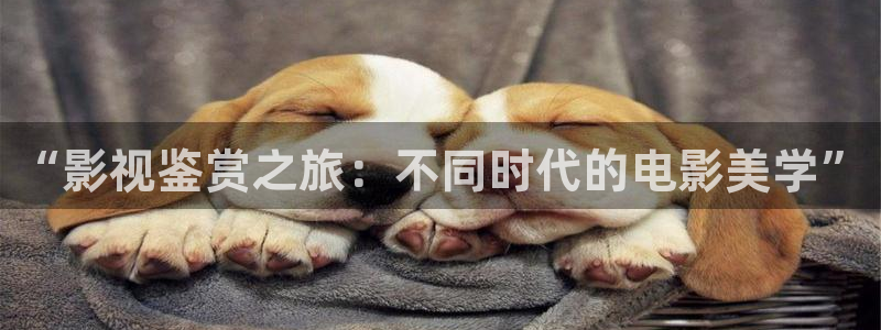 汤姆的书：“影视鉴赏之旅：不同时代的电影美学”