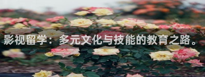 汤姆影院在线观看tom.：影视留学：多元文化与技能的教育之路。