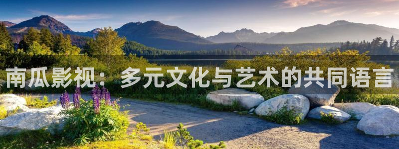 汤姆影视app：南瓜影视：多元文化与艺术的共同语言