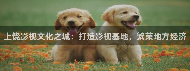 汤姆影院入口在线观看：上饶影视文化之城：打造影视基地，繁荣地方经济