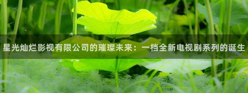 首页汤姆影视：星光灿烂影视有限公司的璀璨未来：一档全新电视剧系列的诞生