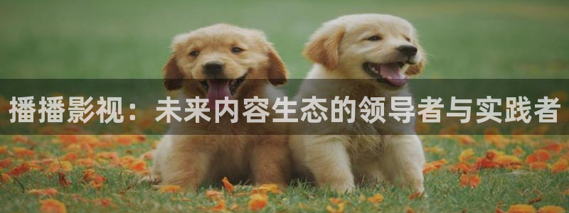 汤姆影院下载：播播影视：未来内容生态的领导者与实践者