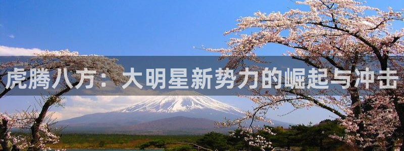 汤姆影院在：虎腾八方：大明星新势力的崛起与冲击