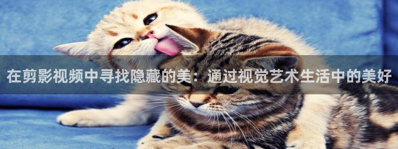 汤姆影院黄色：在剪影视频中寻找隐藏的美：通过视觉艺术生活中的美好