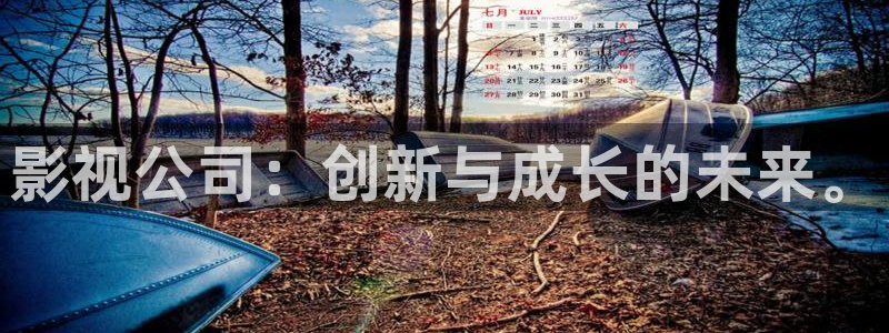 首页汤姆影院：影视公司：创新与成长的未来。